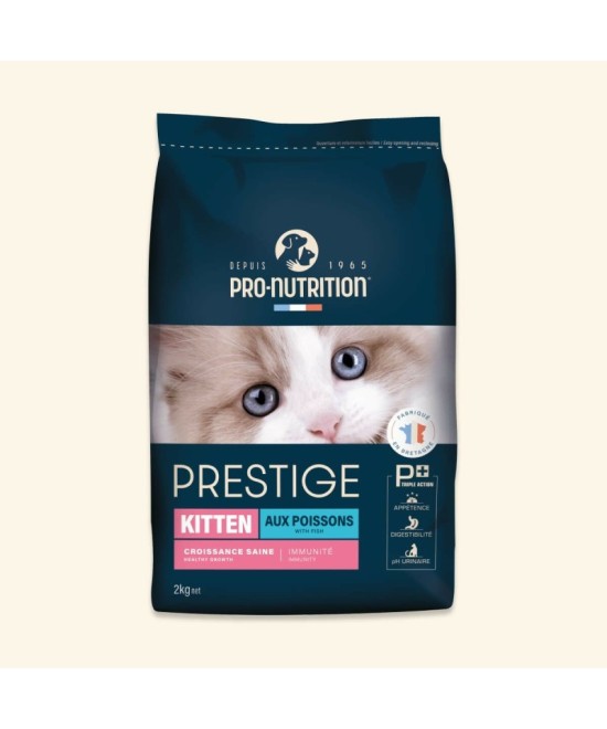 Meta-PRESTIGE CHAT KITTEN