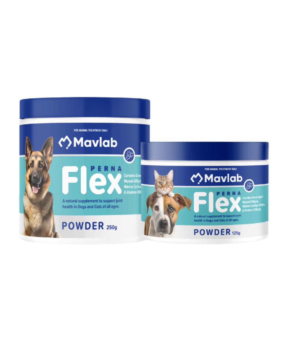 Meta-PERNA-FLEX POUDRE