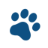 Favicon Chrono Pet